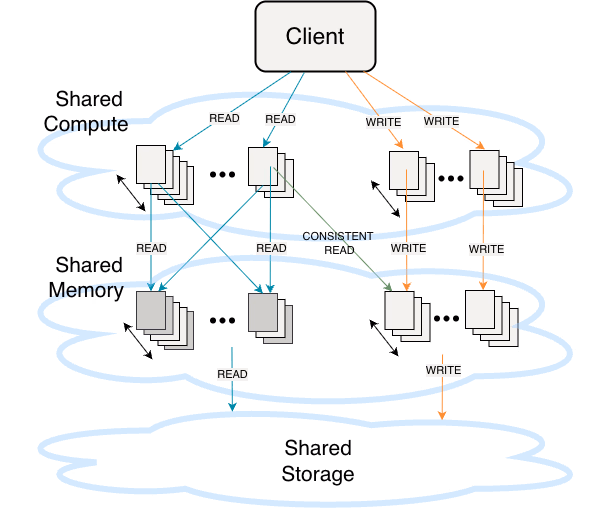 Shared Compute, Shared Memory, Shared Storage pools with read and write arrows